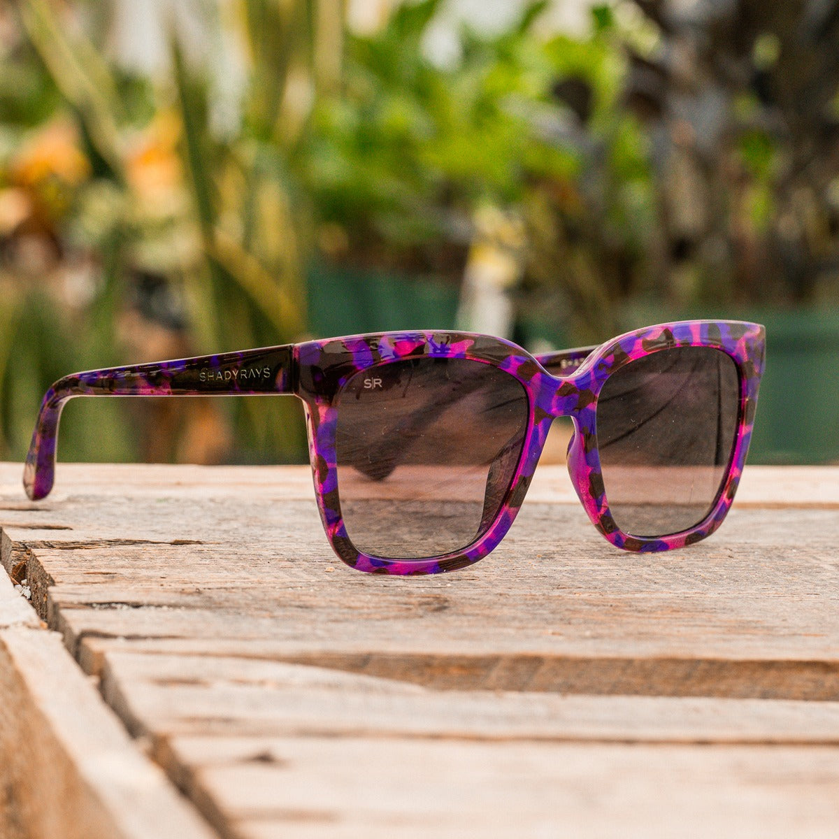 Azalea - Galaxy Tortoise Polarized