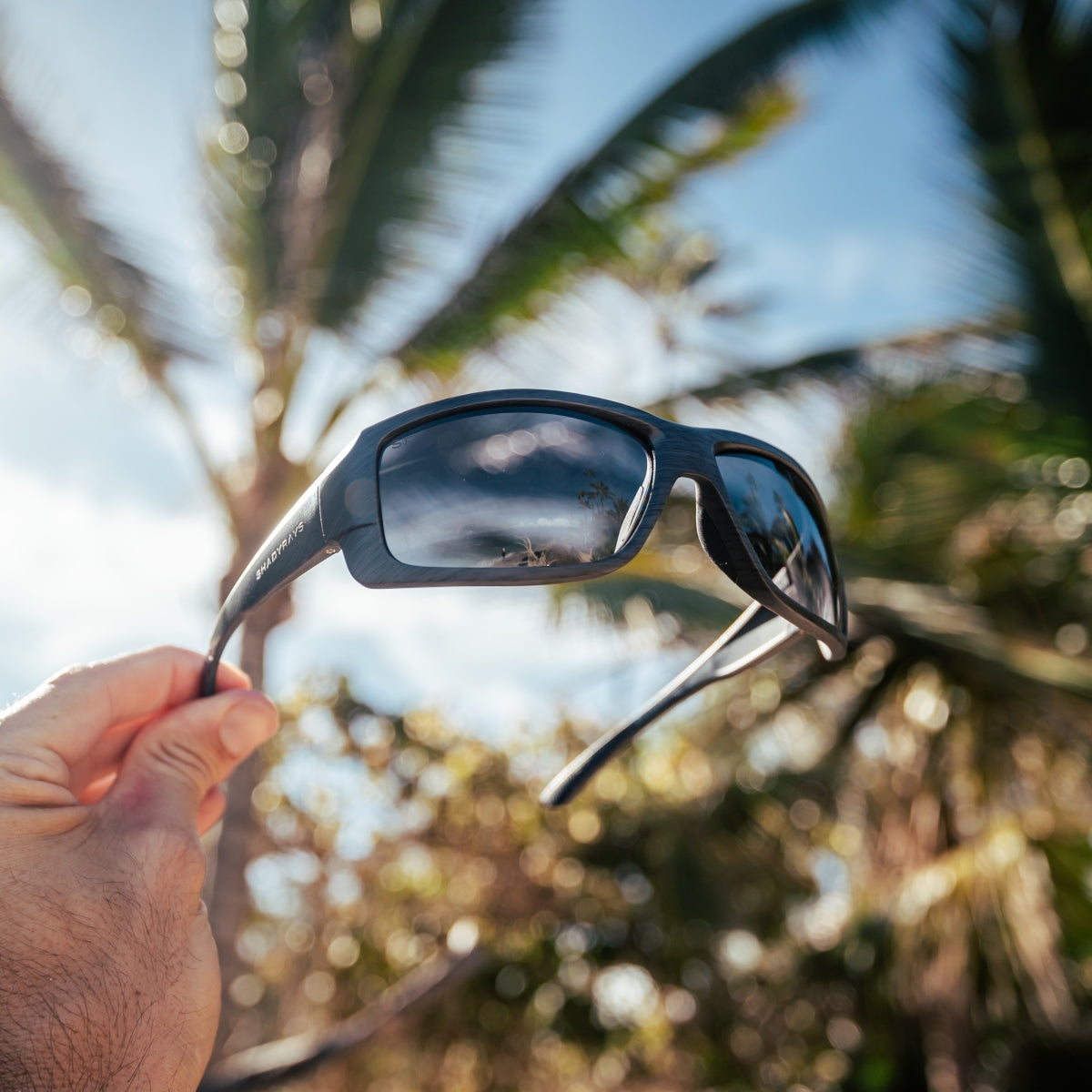 Capitan - Driftwood Polarized