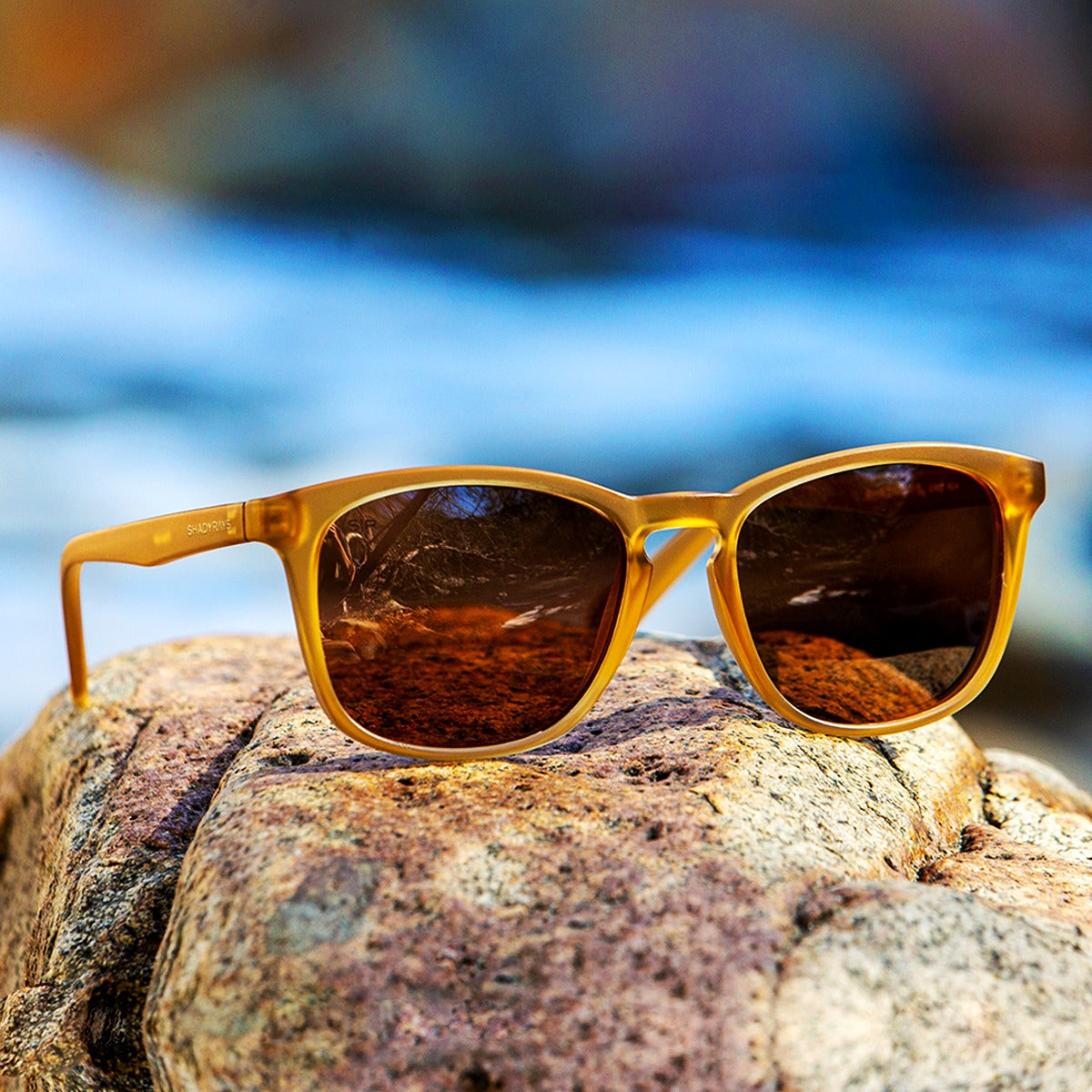 Cypress - Sandstone Polarized